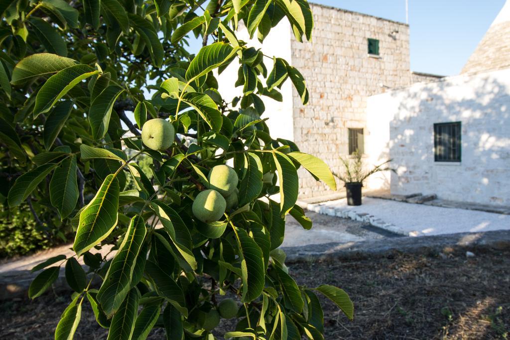 Maison Milleottocento Cisternino
