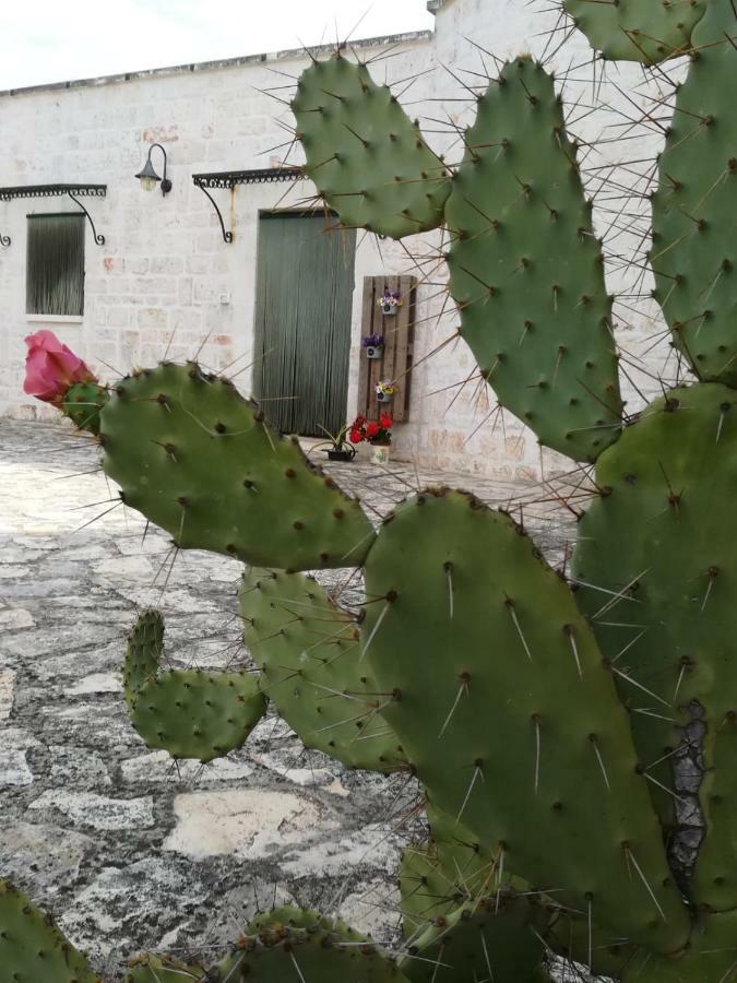Maison Milleottocento * Cisternino